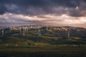 Te Apiti Wind Farm - Manawatu New Zealand